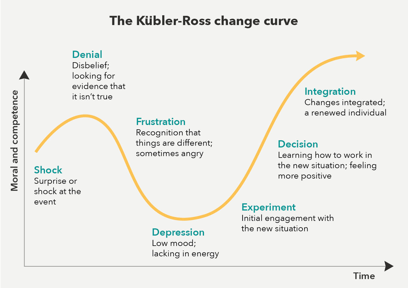 The loss curve