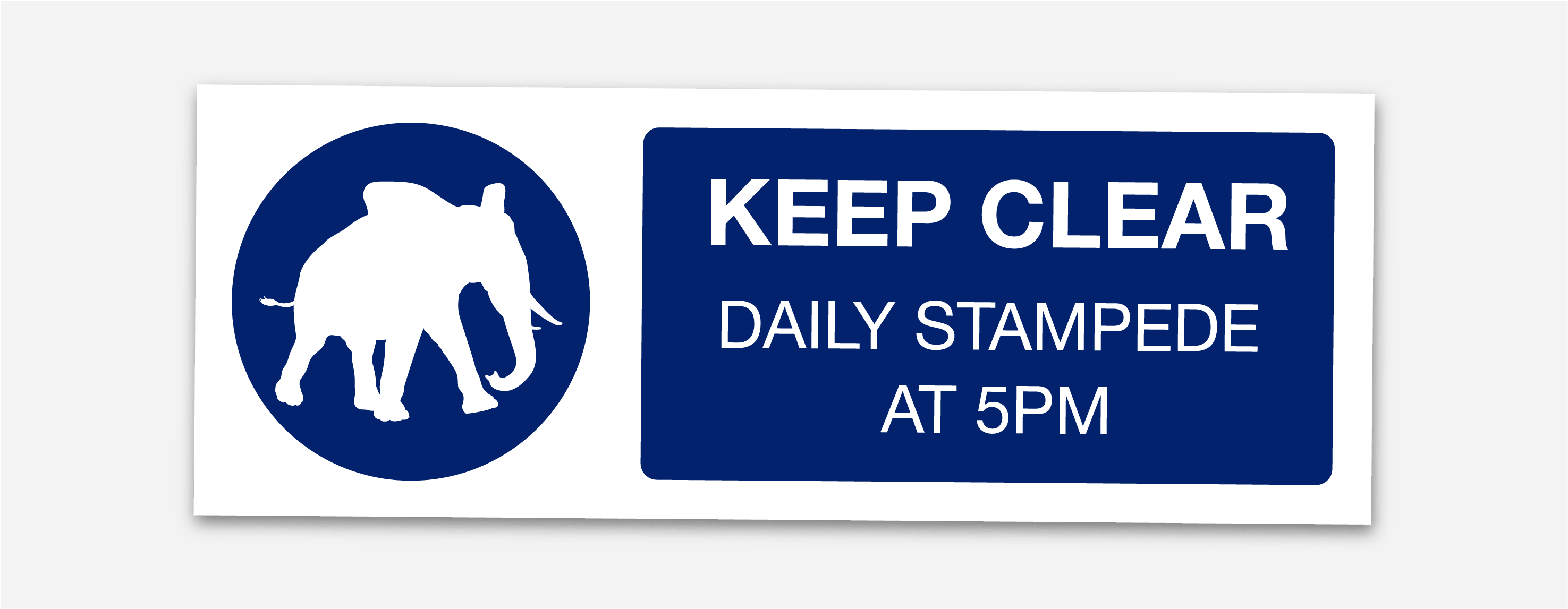 daily-stampede